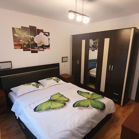 Apartament Cosbuc بايا ماري المظهر الخارجي الصورة