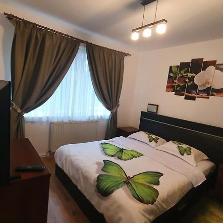 Apartament Cosbuc بايا ماري المظهر الخارجي الصورة