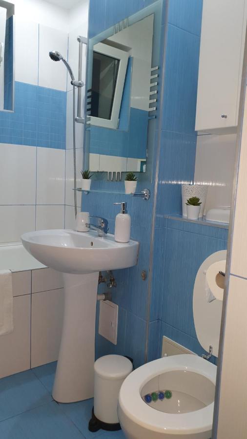 Apartament Cosbuc بايا ماري المظهر الخارجي الصورة
