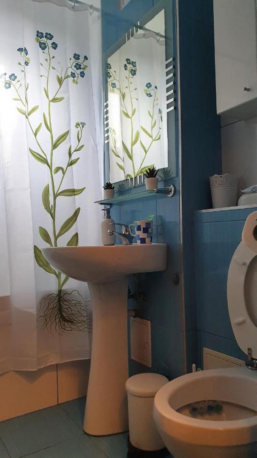 Apartament Cosbuc بايا ماري المظهر الخارجي الصورة