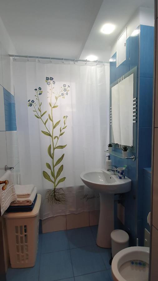 Apartament Cosbuc بايا ماري المظهر الخارجي الصورة