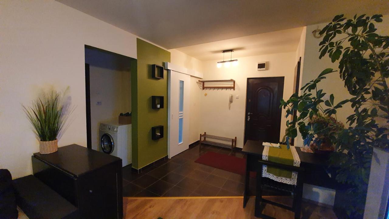 Apartament Cosbuc بايا ماري المظهر الخارجي الصورة