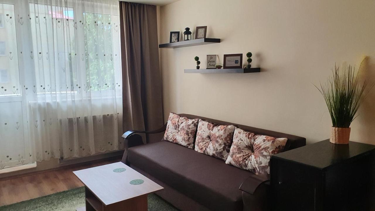 Apartament Cosbuc بايا ماري المظهر الخارجي الصورة