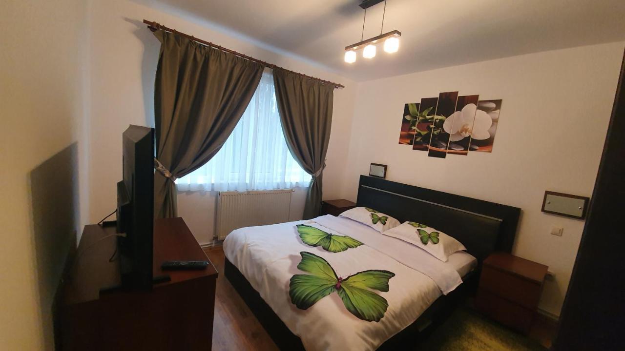 Apartament Cosbuc بايا ماري المظهر الخارجي الصورة